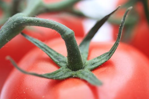 close up of a fresh tomato