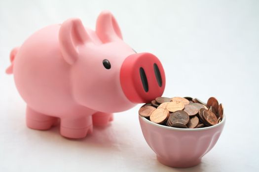 pink piggy bank and coins