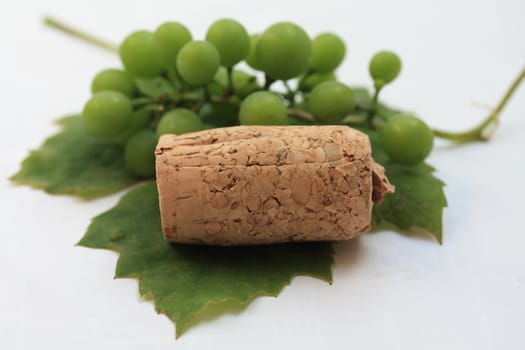 cork and grape leaf
