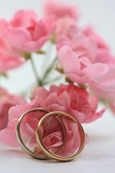 two wedding bands in gold, pink roses