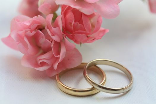 two wedding bands in gold, pink roses