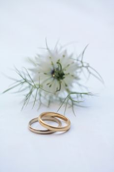 two wedding bands in gold