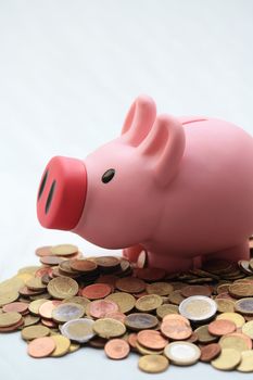 pink piggy bank on a pile of money