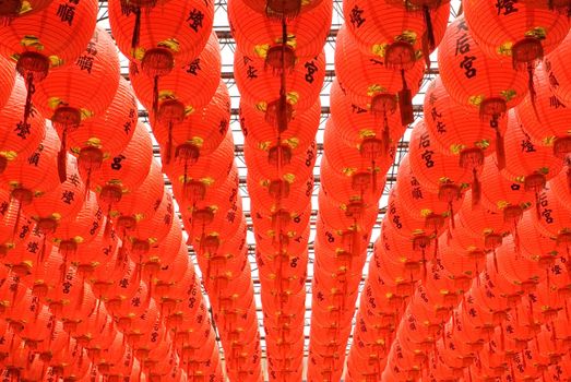 Here are a lot of red and beautiful Chinese lantern.
