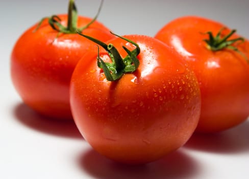 Three tomatoes on a light background