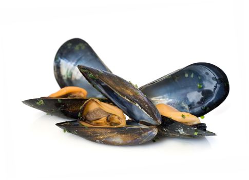 three mussels boiled isolated on white background