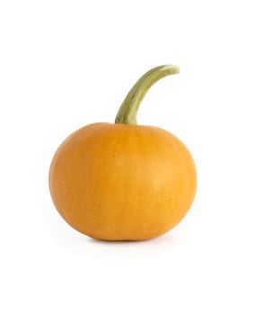 Halloween symbol. Pumpkin on white background. Isolated with clipping path