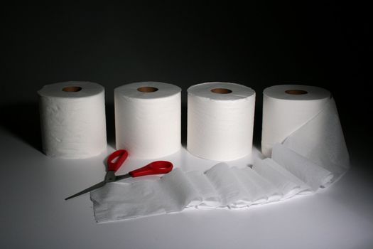 Four toilet rolls and scissors with red handles.
