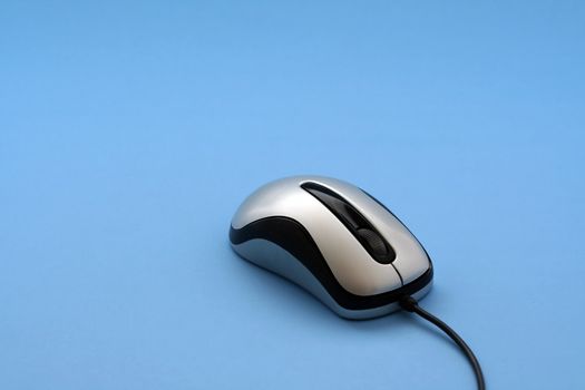 Mouse in blue background