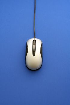 Mouse in blue background