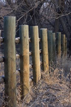 farm fence covered with frost with weeds and dense cottonwood trees in background
