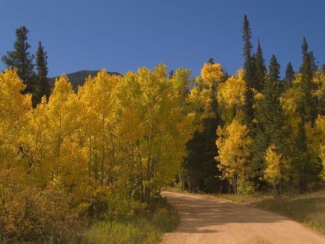 Autumn along a bend in the road near Allenspark, Colorado