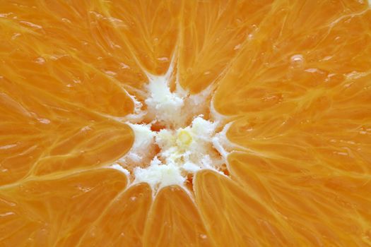 Close up sliced orange