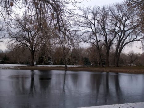 A November view of a frozen pond in a small city park.
