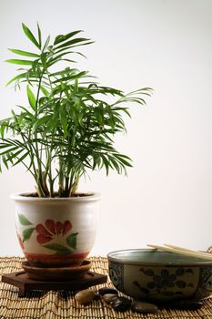 A bowl and a palm tree in Zen-like environment