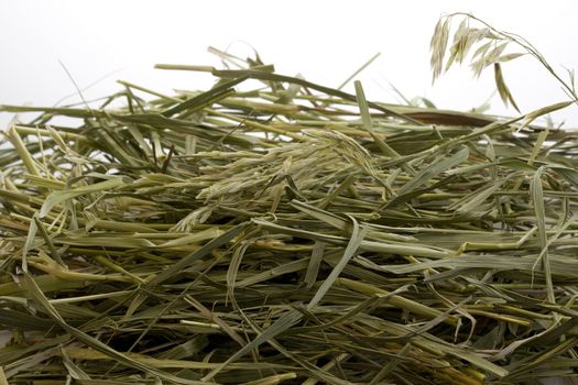 grass hay against white background with a copy space