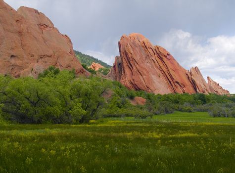 Red rocks and a blooming meadow as spring covers Roxborough State Park,  Colorado
