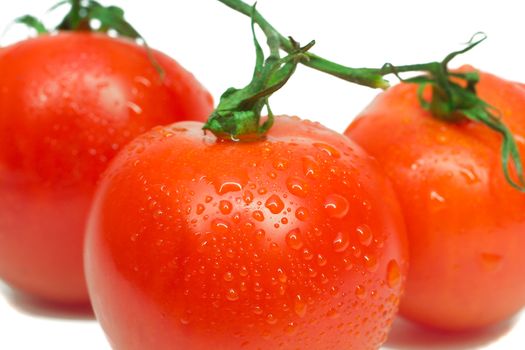 close-up three red tomatoes with waterdrops, isolated on white