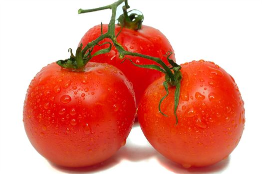 three tomatoes with waterdrops, isolated on white