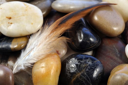 A feather on stones