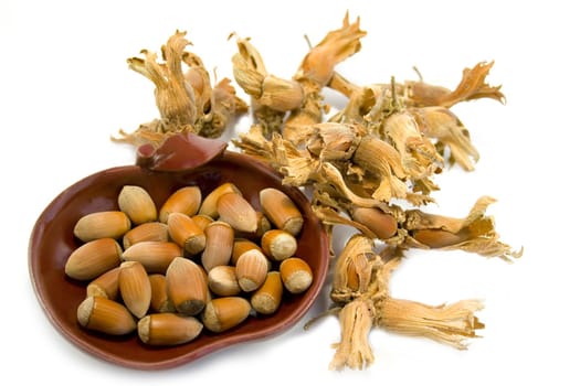 hazelnuts isolated on white background