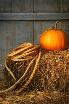 Pumpkin with rope on a bale of hay
