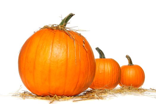 Pumpkins with straw on white background