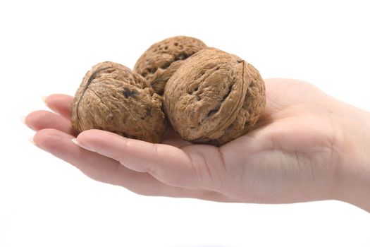 hand witn walnuts