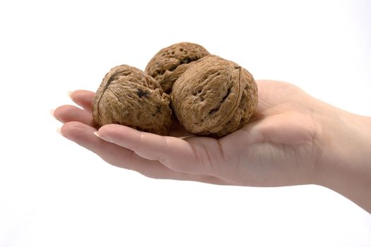 hand witn walnuts
