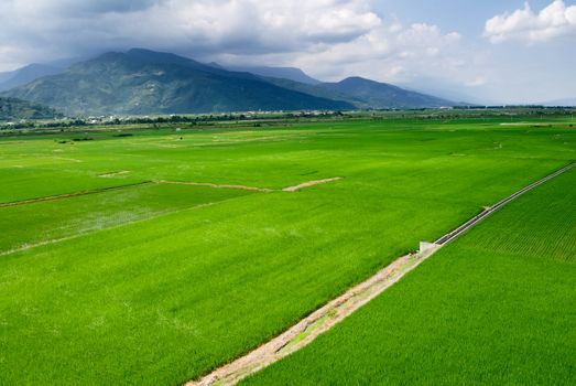 It is a beautiful landscape of green farm with blue sky and white clouds.