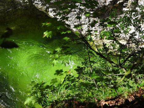 Mountain creek with clear green water