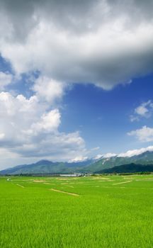It is a beautiful landscape of green farm with blue sky and white clouds.