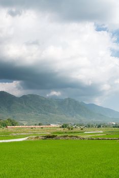 It is a landscape of beautiful green terraced field.