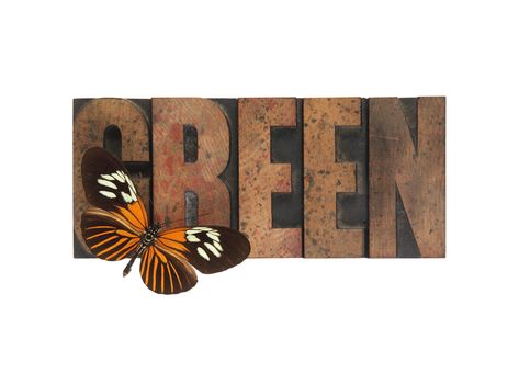 orange and black butterfly on the word 'green' in old wood type