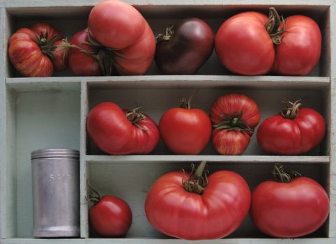 varieties of heirloom tomatoes in a pale green box with a vintage salt shaker