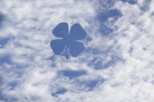 Clover on sky