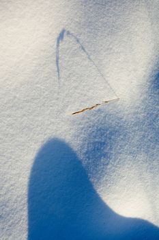 Shadows on surface of freshly fallen snow.