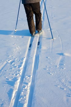 Beautiful cold winter day takes cross-country skiing person out having fun in ski tracks.