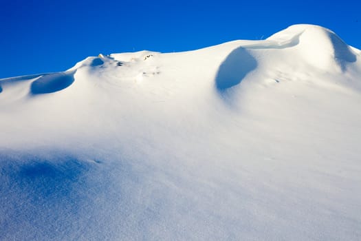 Winter has arrived: snow covered wilderness landscape