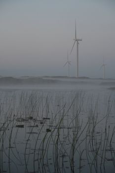 Fog at Smøla Wind Farm