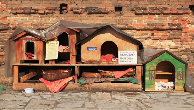 Cathouse in a square of Venice, Italy