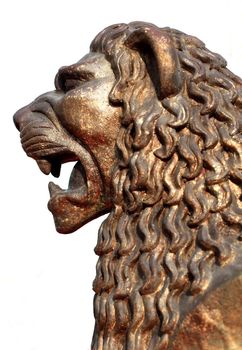 Profile of golden lion background