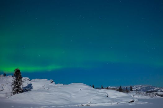 Northern Lights (Aurora borealis) over moon lit snowscape.