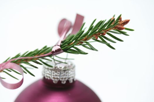 Purple christmas ornament on pine tree branch