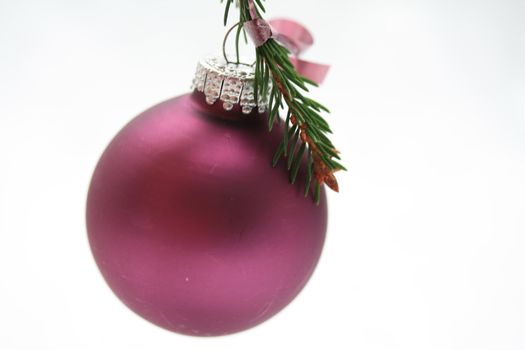 Purple christmas ornament on pine tree branch