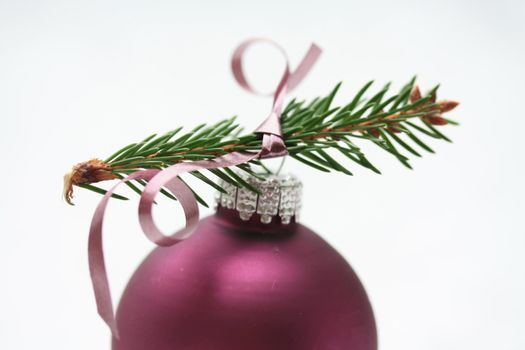 Purple christmas ornament on pine tree branch