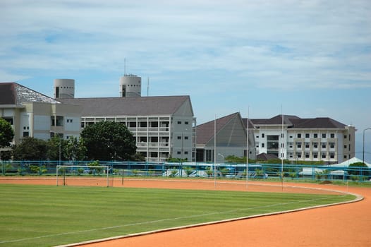 soccer field with nice green grass and blue sky