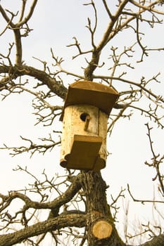 birdhouse on the tree