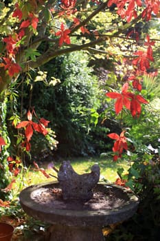 A stone constructed ornamental bird bath in an urban garden setting with red coloured autumnal leaves surrounding, against a soft focus background.
