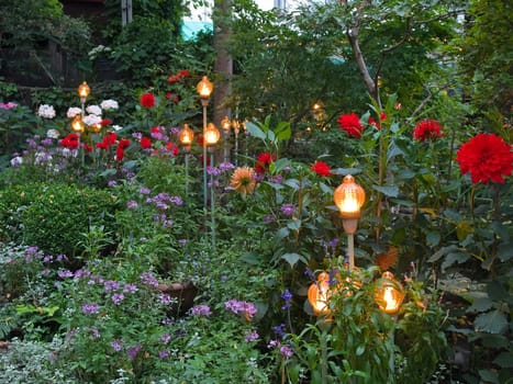 Beautiful colorful blooming garden with illuminated lamps